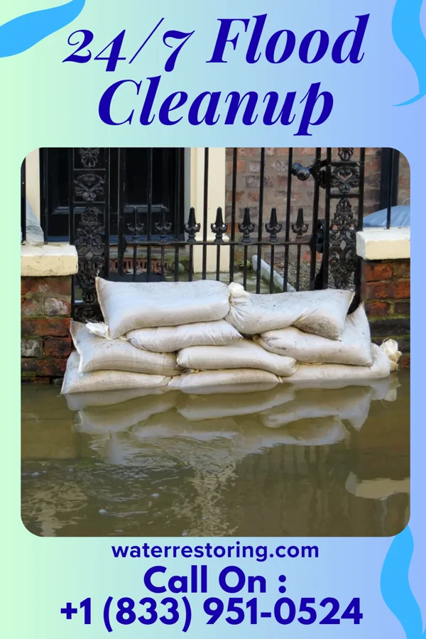 24/7 Flood Cleanup in Frederica, DE