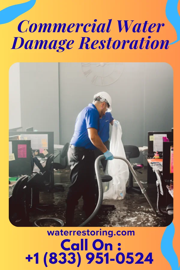 Commercial Water Damage Restoration in Frederica, DE