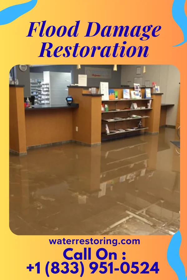 Flood Damage Restoration in Frederica, DE